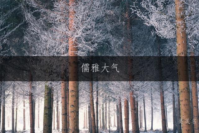 儒雅大气，王姓带音字的男孩名字