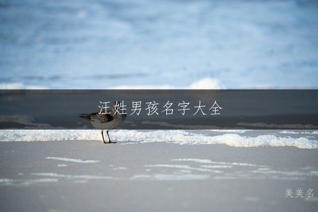 汪姓男孩名字大全，一繁一简的精妙搭配