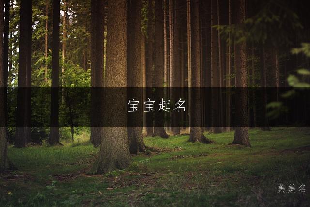 宝宝起名|无忧无虑的男孩名字推荐