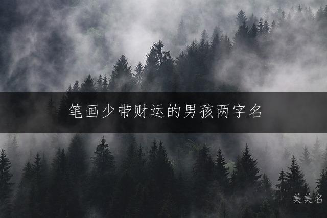 笔画少带财运的男孩两字名