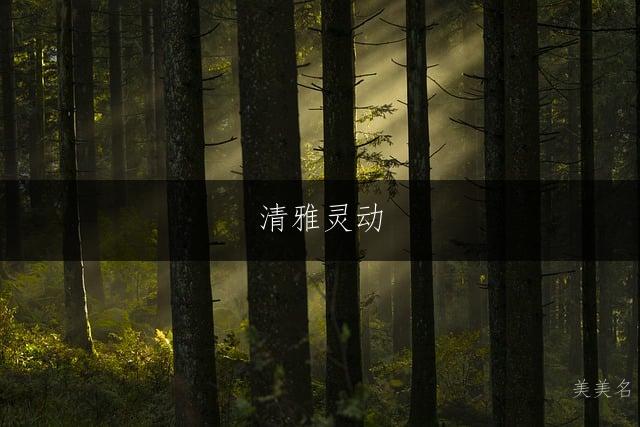 清雅灵动，五行木水组合的男孩名字