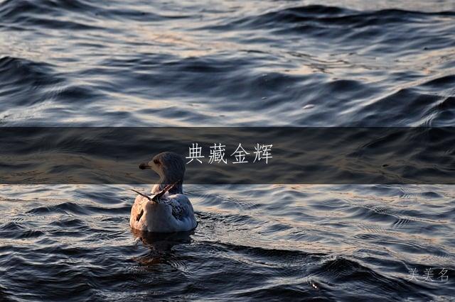 典藏金辉，五行金金组合的男孩名字