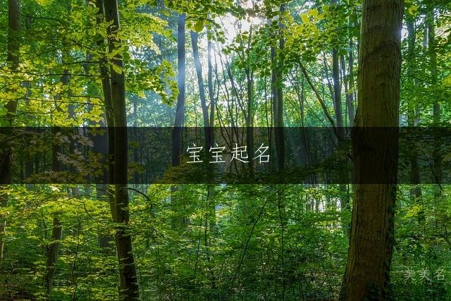 寶寶起名|智周萬物的男孩名字推薦