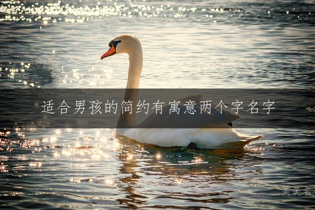适合男孩的简约有寓意两个字名字