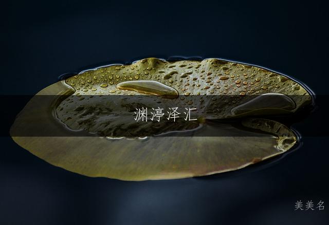 渊渟泽汇，五行带水的男孩名字