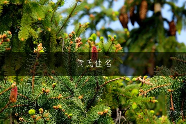 黄氏佳名，简约大气的三字男名