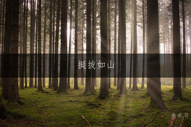 挺拔如山，带山字旁的男孩名字