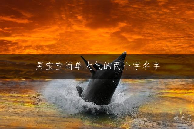 男宝宝简单大气的两个字名字