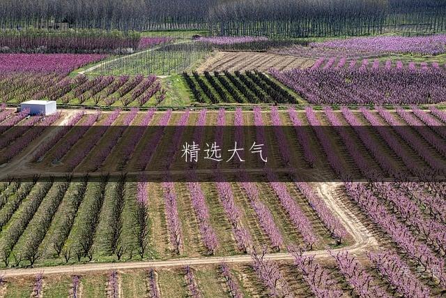 精选大气，五行带火的男孩名字