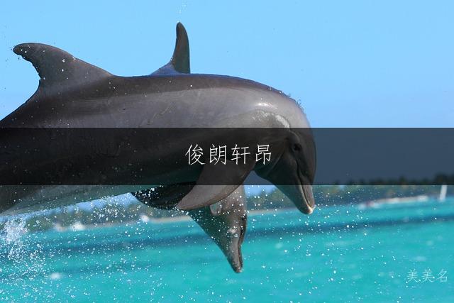 俊朗轩昂，带奕字的气质男孩名字