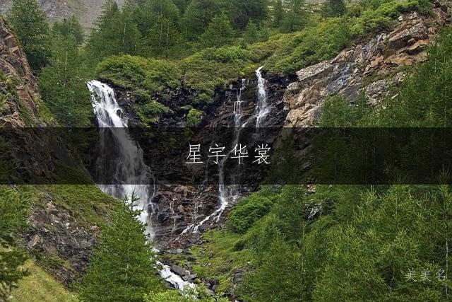 星宇华裳，带衣字旁的男孩名字