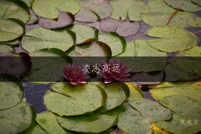 凌志高远，带凌字的雅致男孩名字