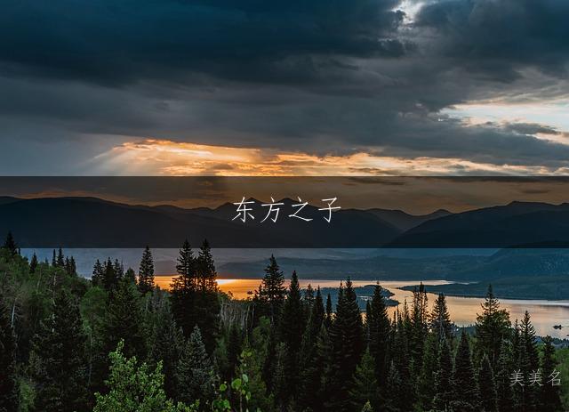 东方之子，董门的承余姓带余字的俊朗男孩名字