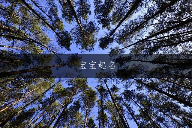 寶寶起名|寓意豁達開朗的男孩名字推薦