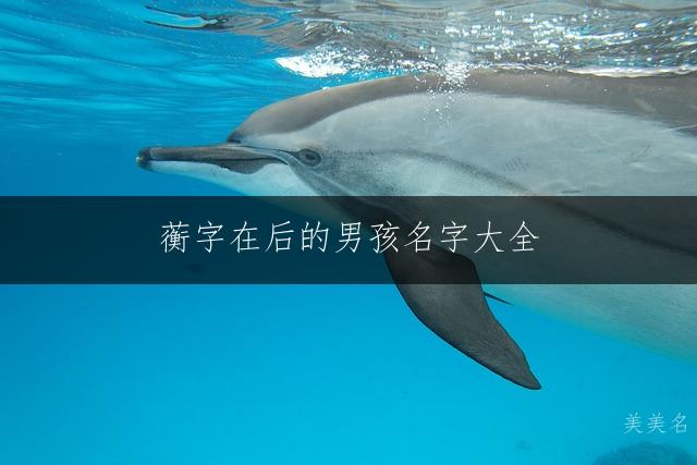 蘅字在后的男孩名字大全