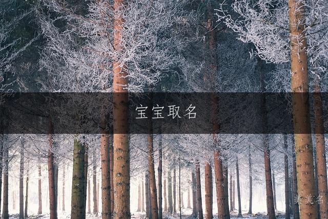 宝宝取名|麟凤芝兰的男孩名字推荐