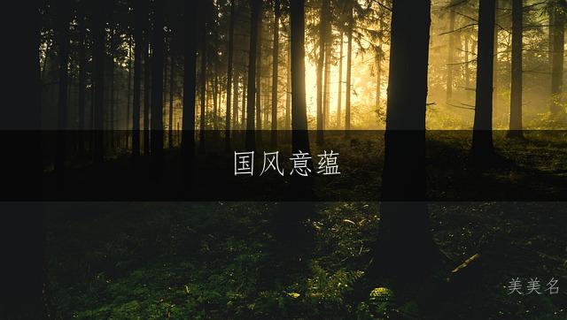 国风意蕴，唐姓带甯字的男孩大气名字