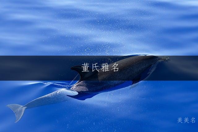 董氏雅名,简约大气的三字男孩名