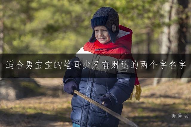 适合男宝宝的笔画少又有财运的两个字名字