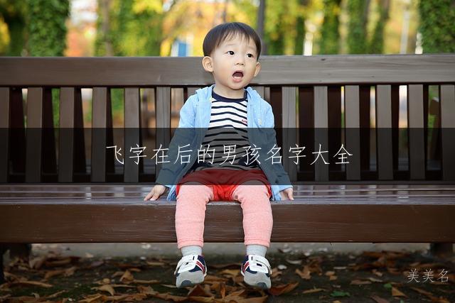 飞字在后的男孩名字大全