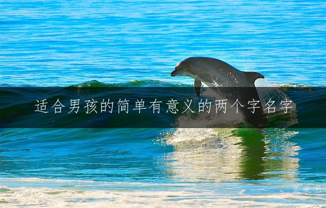 适合男孩的简单有意义的两个字名字