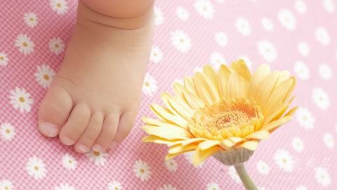 宝宝取名|温婉贤淑的女孩名字推荐