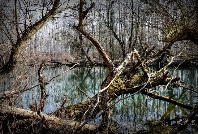 草字旁的男孩名字大全