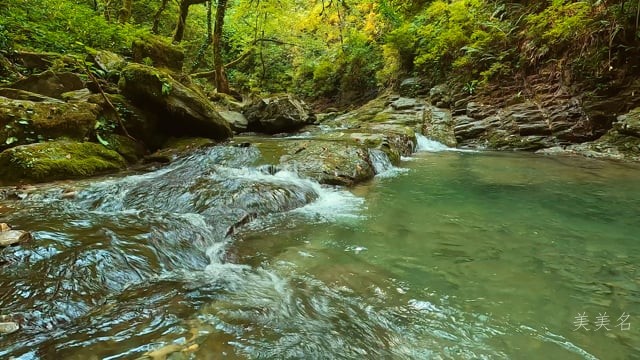 賦字在後的男孩名字大全