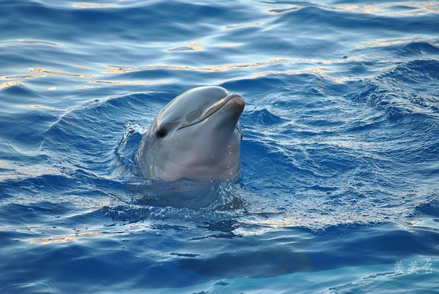 8畫的男孩名字推薦